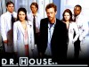 Dr House – Série para Amantes da Medicina e Ciência, Temporadas Online