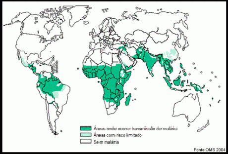 Malária – Ciclo de Contaminação, Profilaxia, Sintomas e Tratamento