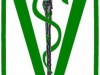 Medicina Veterinária – Curso, Grade Curricular, Mercado Profissional