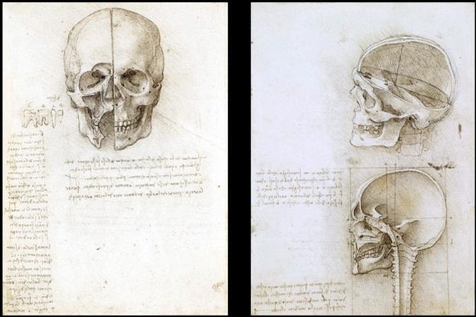 Estudos de Anatomia - Esboços de Leonardo da Vinci