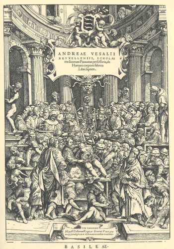 Primeiros Estudos de Anatomia – Andreas Vesalius