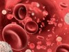Anemia – Principais Tipos, Características, Sinais e Sintomas
