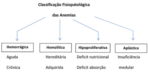 anemia-quadro-fisiologico