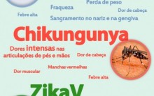 Zika Vírus e sua Relação com Microcefalia e Guillan-Baré no Brasil