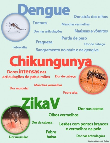 Zika Vírus e sua Relação com Microcefalia e Guillan-Baré no Brasil